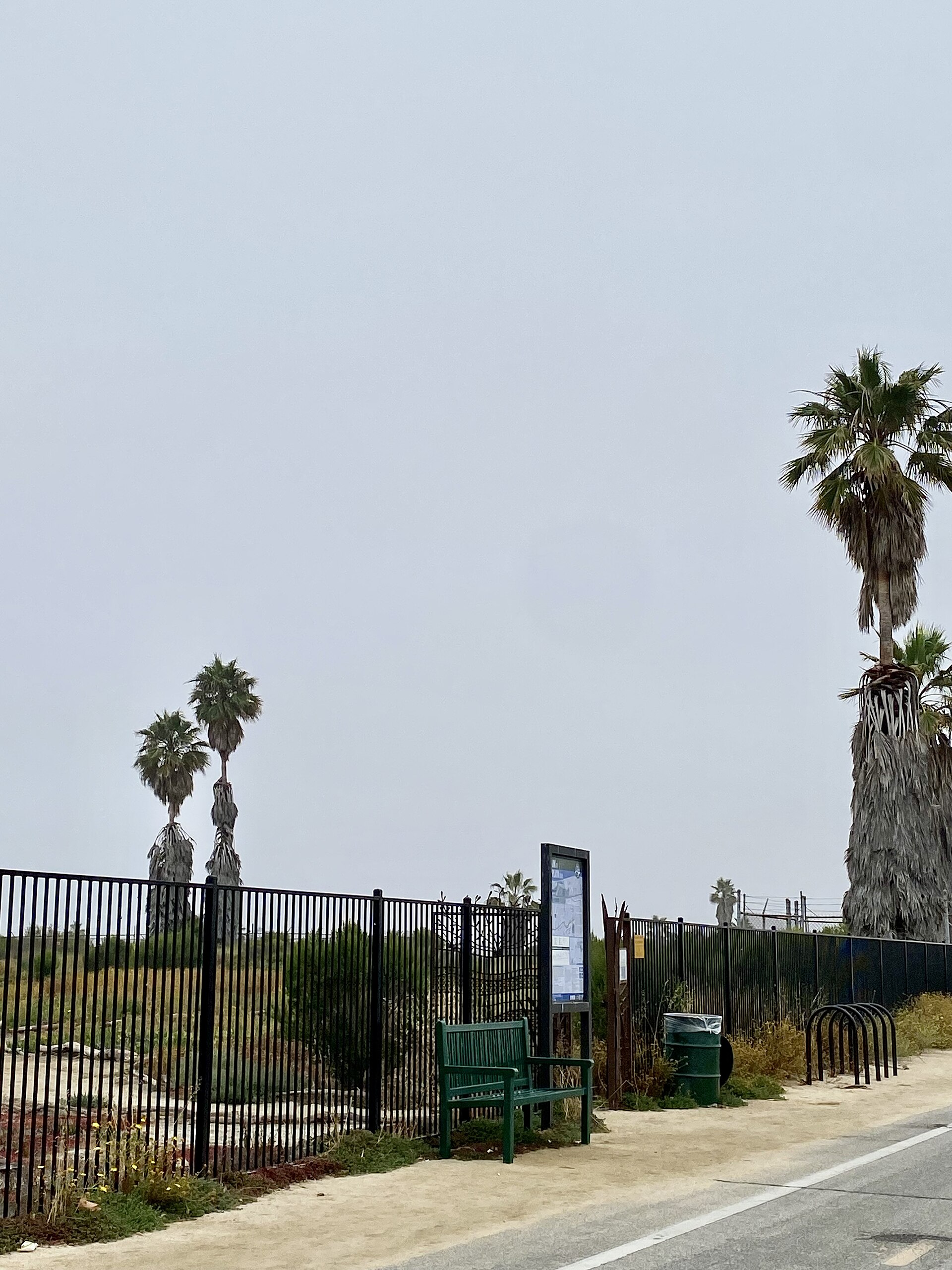 Close to the endpoint of the Park to Playa Trail, Area A Ballona Wetlands, near where Ballona Creek Bike Path connects to Marvin Braude Bike Trail