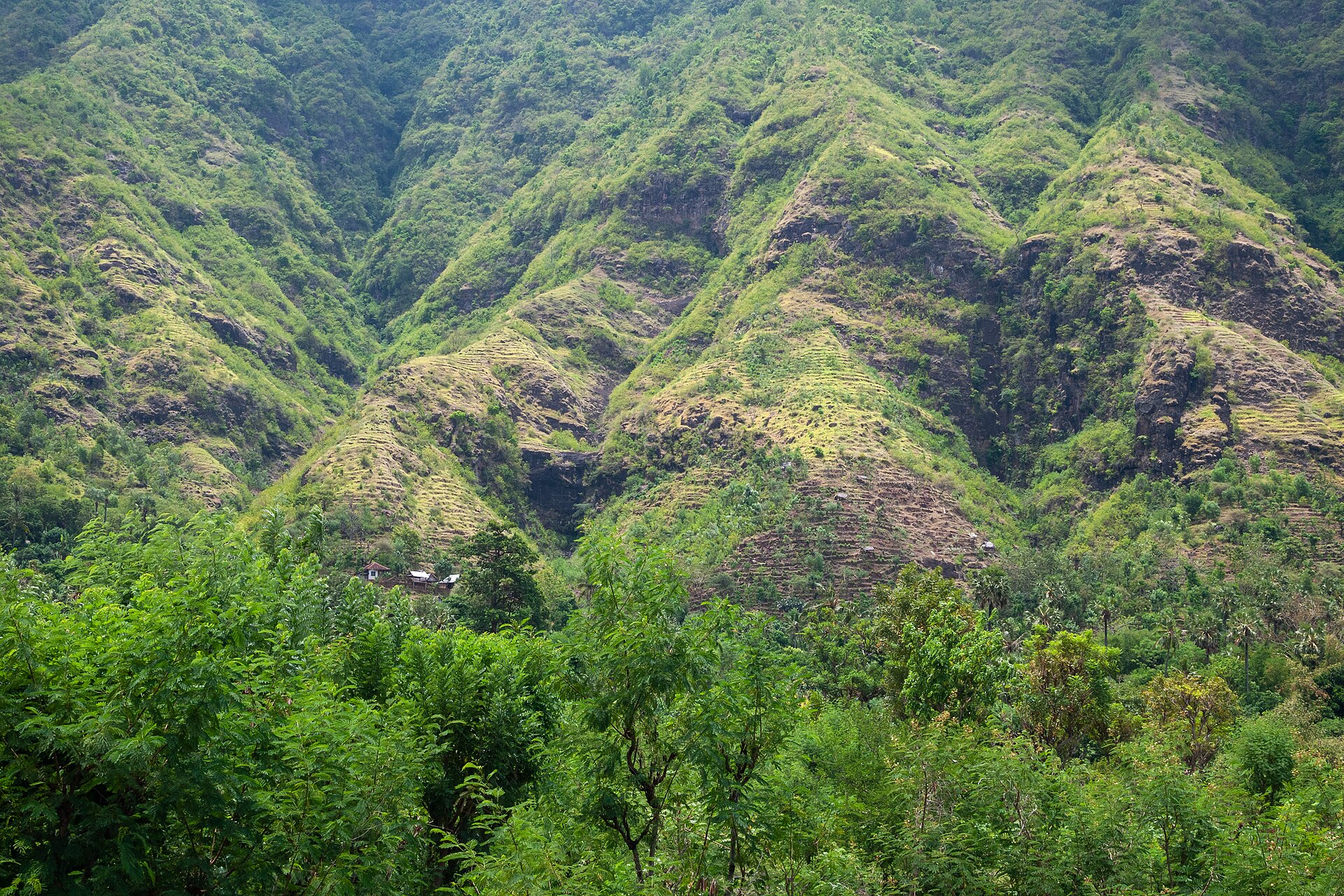 Valleys of rice fields on rich volcanic soil are interspersed with lofty old-growth forest on the northeastern slopes of Mount Lempuyang/Seraya in…